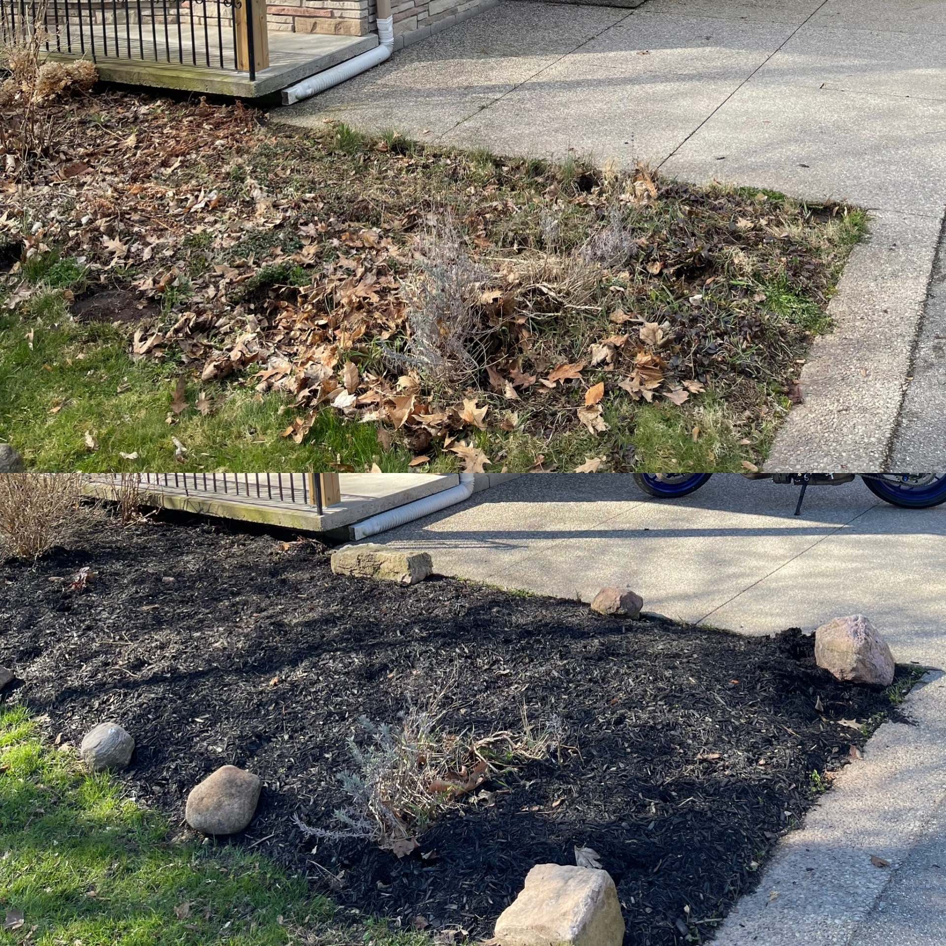 Lumen Landscaping | Problems We Fix Front garden bed buried in leaves and weeds, then cleared and finished in black mulch with boulders