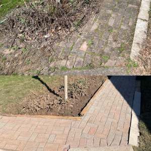 Lumen Landscaping | Uneven Interlock Driveway Weedy brick paver walkway cleaned and re-sanded beside a cleared garden bed in Dundas