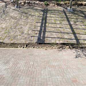 Lumen Landscaping | Sinking Interlock Patio Interlock patio with weeds in the joints, then cleaned and re-sanded, in Dundas