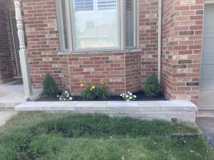 Lumen Landscaping | Leaning Retaining Wall Raised planter with a grey stone wall, dwarf spruces and flowers under a bay window on Hamilton Mountain