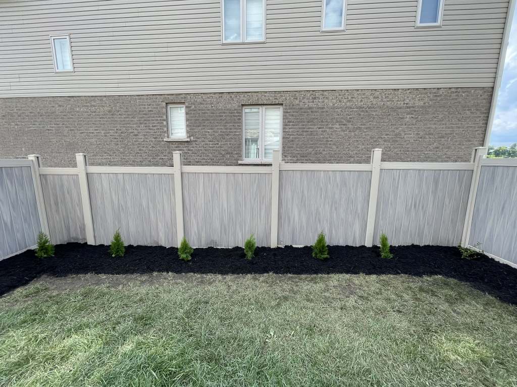 Lumen Landscaping | Planting a Cedar Hedge Row of young cedars planted in a black mulch bed along a vinyl privacy fence