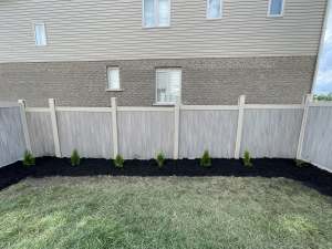 Lumen Landscaping | Clay Soil: Nothing Grows Row of young cedars planted in a black mulch bed along a vinyl privacy fence