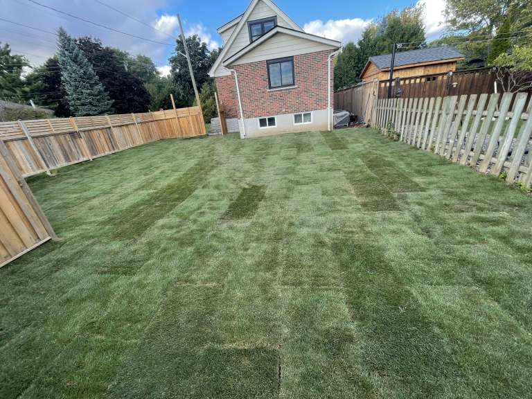 Lumen Landscaping | Home Landscaping Backyard of freshly laid sod between a board fence and a picket fence