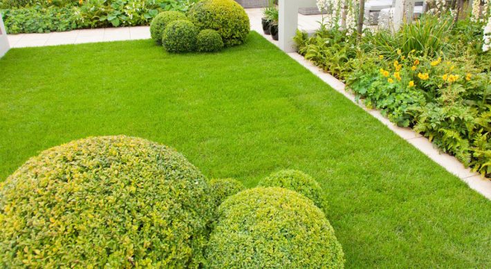 Average Cost of Landscaping