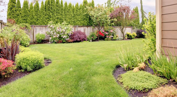 Landscaping Around House