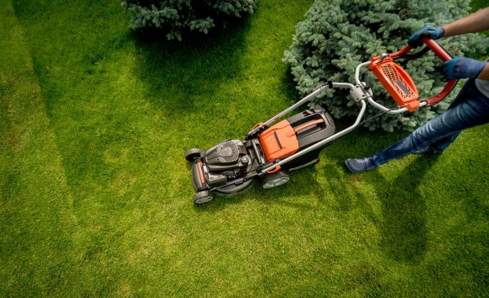 landscaping ideas landscaping ideas