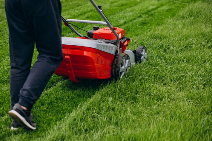 lawn care Burlington