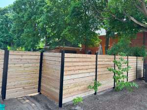 Lumen Landscaping | Service Areas Long horizontal cedar fence with black posts along a backyard with young shrubs