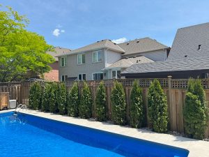Lumen Landscaping | Gardening Garden bed and planting project in Hamilton by Lumen Landscaping