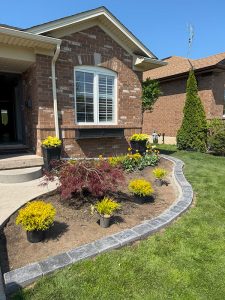 gardening-13 Curved garden wall edging a planted front bed with a Japanese maple