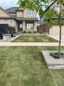 Lumen Landscaping | Waterdown Freshly laid sod on a front lawn with a raised block tree planter in front of a two storey house