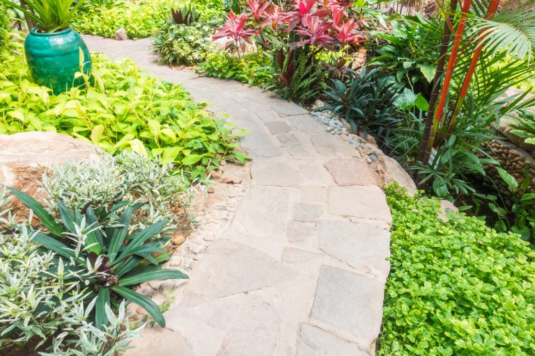 Boost Your Curb Appeal: Why a Professional Landscape Design Matters