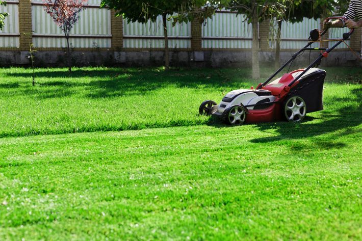 lawn care Hamilton lawn care Hamilton