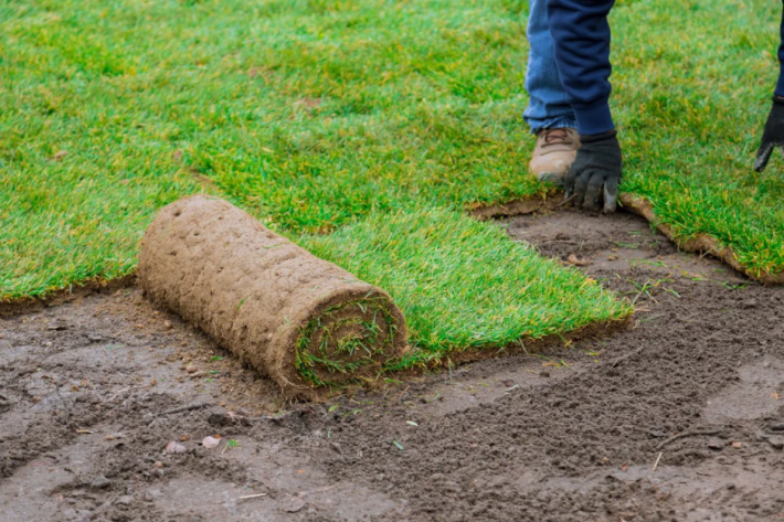 sod installation Hamilton sod installation Hamilton