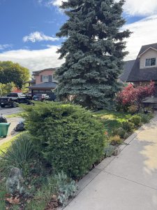 After Gardening Work