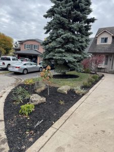 Before Gardening Work