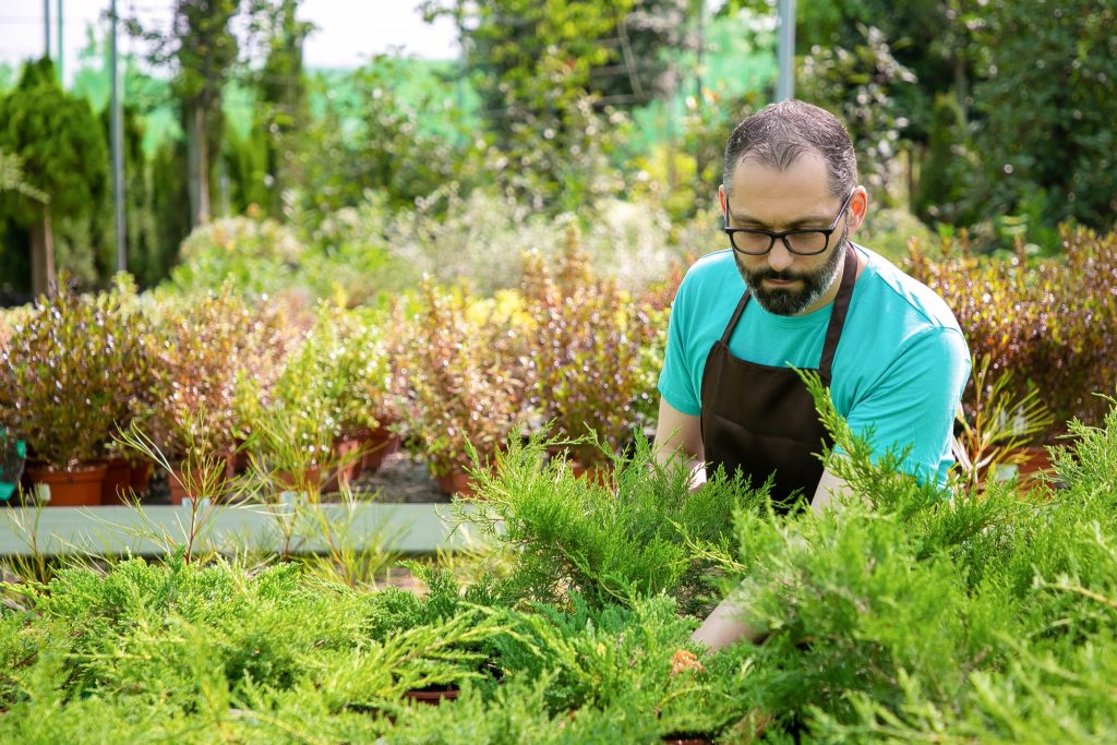 garden mulching benefits spring