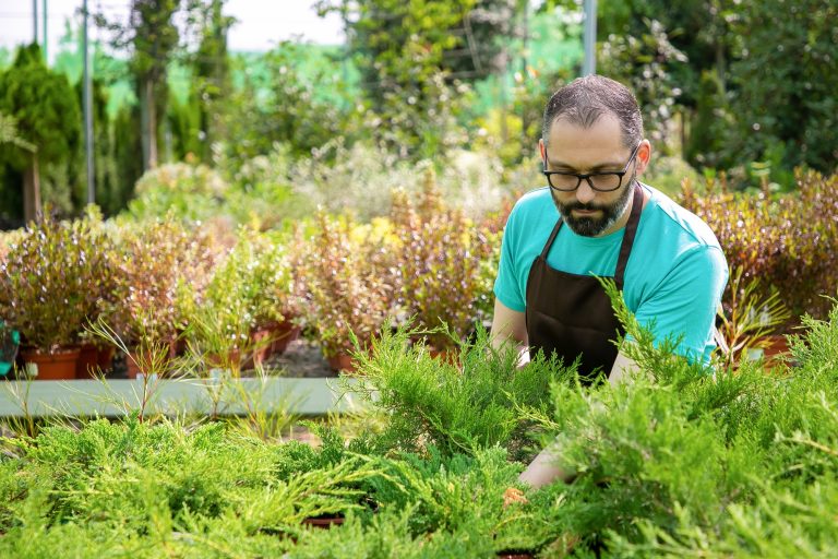 Mulching 101: Why Your Garden Beds Need It This Spring?