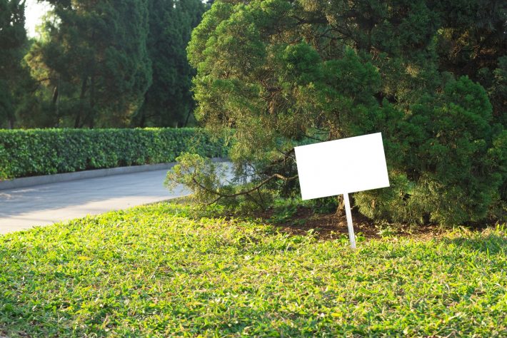 keep lawn green