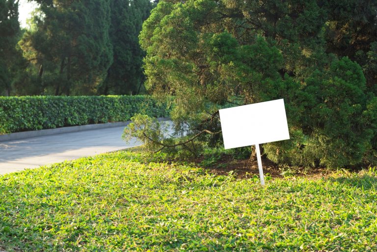 How to Keep Your Lawn Green All Summer Without Overwatering?