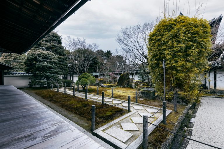 How to Design a Low-Maintenance Backyard Landscape?