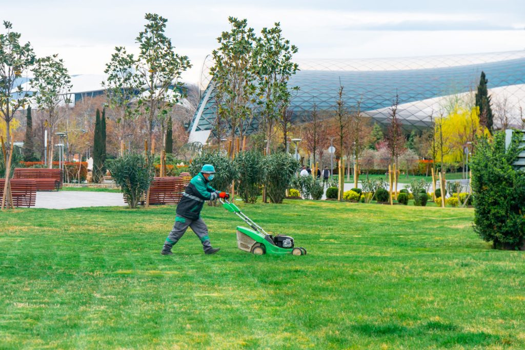 spring lawn care May Canada