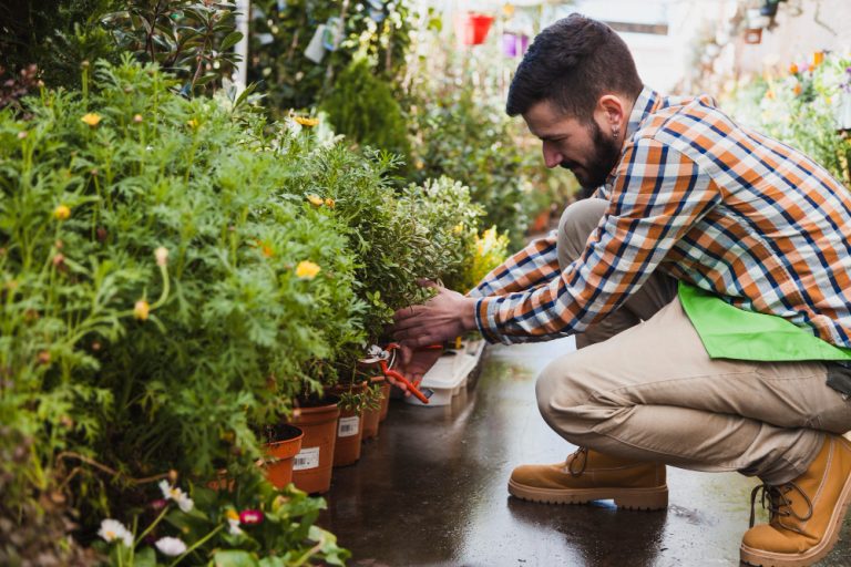 Spring Landscaping Tips Every Canadian Homeowner Should Know