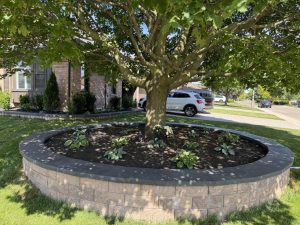 Expert Gardening Services