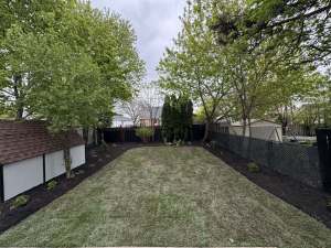 Lumen Landscaping | Bumpy or Uneven Lawn Long backyard lawn with new black mulch beds along the fence and shed