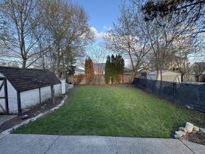 Landscaping | Lawn Lawn and grading Care Services