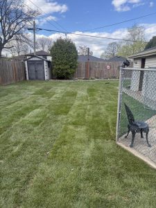 Landscaping | Lawn Lawn and grading Services