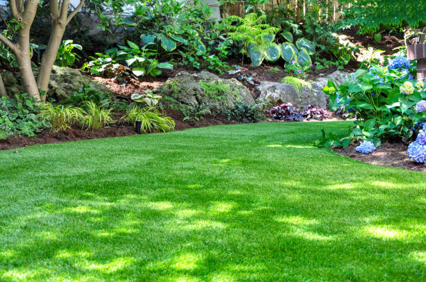 Backyard Landscaping