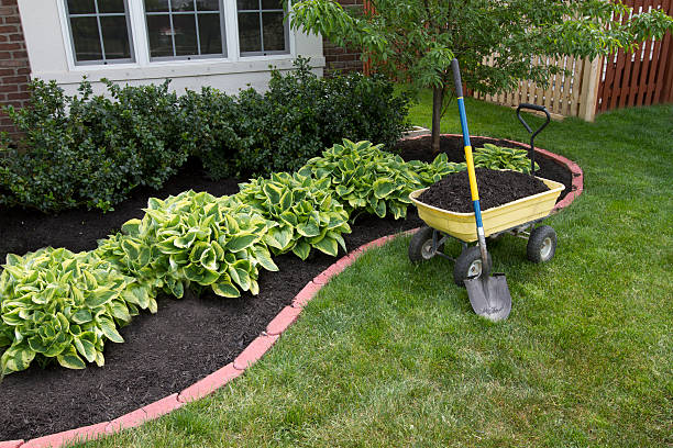 How Much Do Landscape Services Cost in Hamilton?