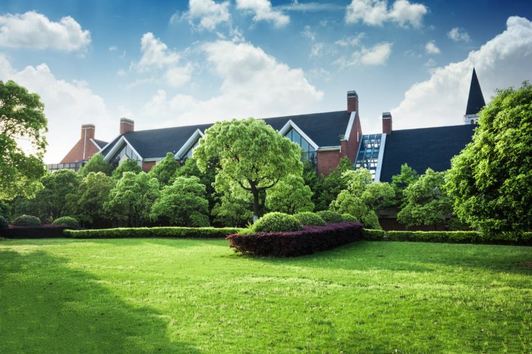 How Much Does Professional Landscaping Cost in Hamilton, Ontario?