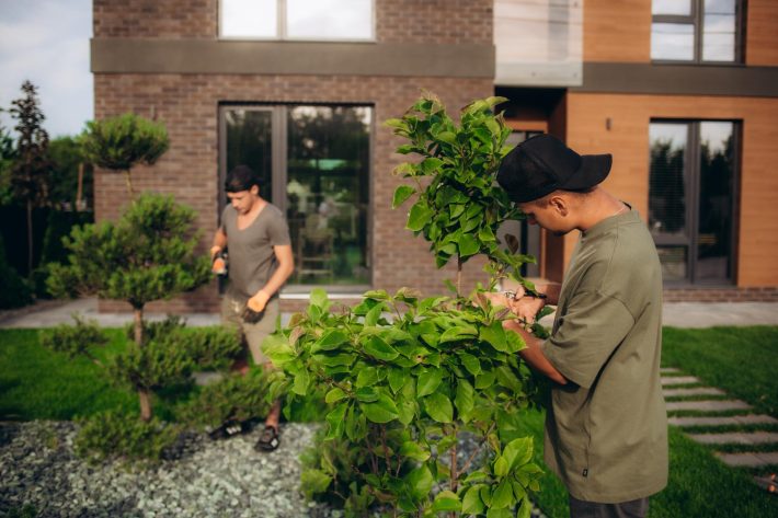 landscaping upgrades home value landscaping upgrades home value