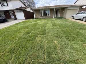 lawn and grading services near me 1
