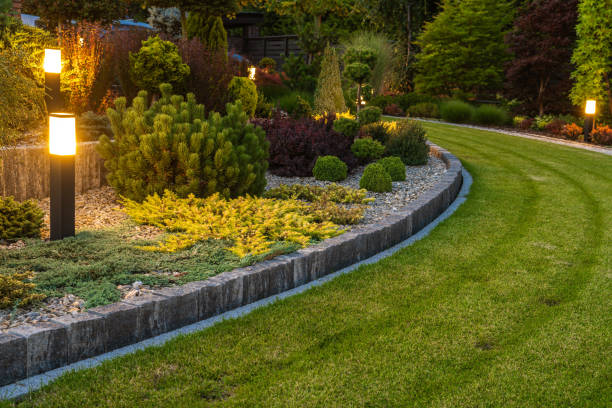 Landscaping Ideas