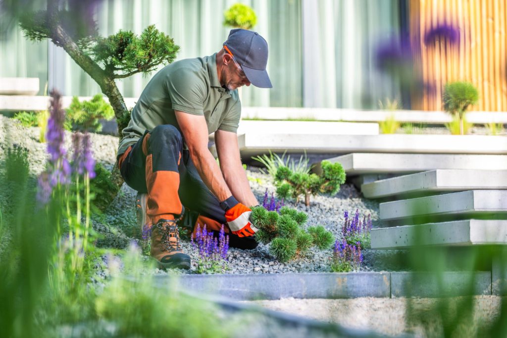 Hamilton landscaping services