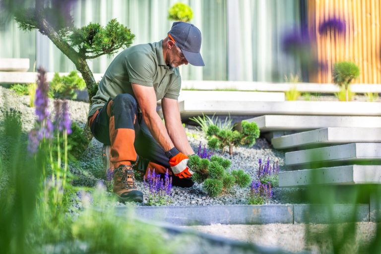 Landscaping Hamilton: Complete Guide to Services, Costs & Design Trends
