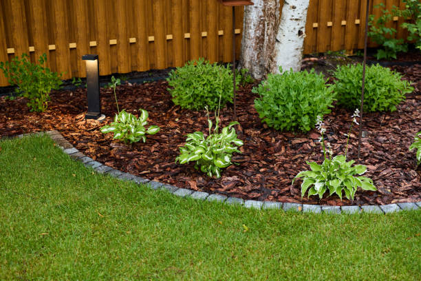Landscaping Cost