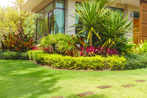 Landscaping Hamilton: 10 Front Yard Landscape Ideas to Boost Curb Appeal