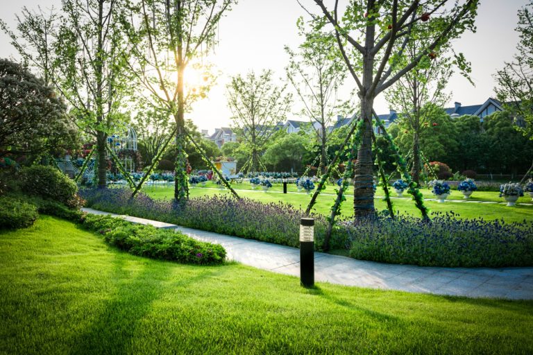 Landscape Design in Oakville: What to Expect from Start to Finish