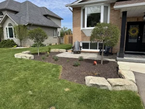 Armour stone front garden new sod Front garden with armour stone, new plantings and fresh sod