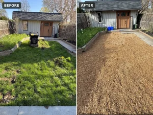 Lumen Landscaping | Gardening Before and after: patchy backyard lawn turned into a clean, low-maintenance mulch area inside the wood borders