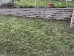 Block retaining wall with new sod Long stone block retaining wall with fresh new sod laid below it in a backyard