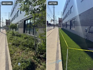 Lumen Landscaping | Yard Drainage Before and after: weedy strip along a commercial building replaced with new sod