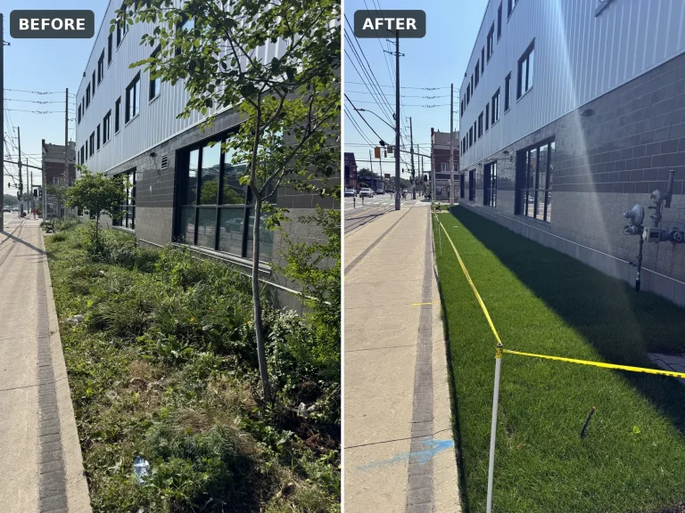 Lumen Landscaping | Home Landscaping Before and after: a weedy strip beside a commercial building, then the same strip laid with new sod