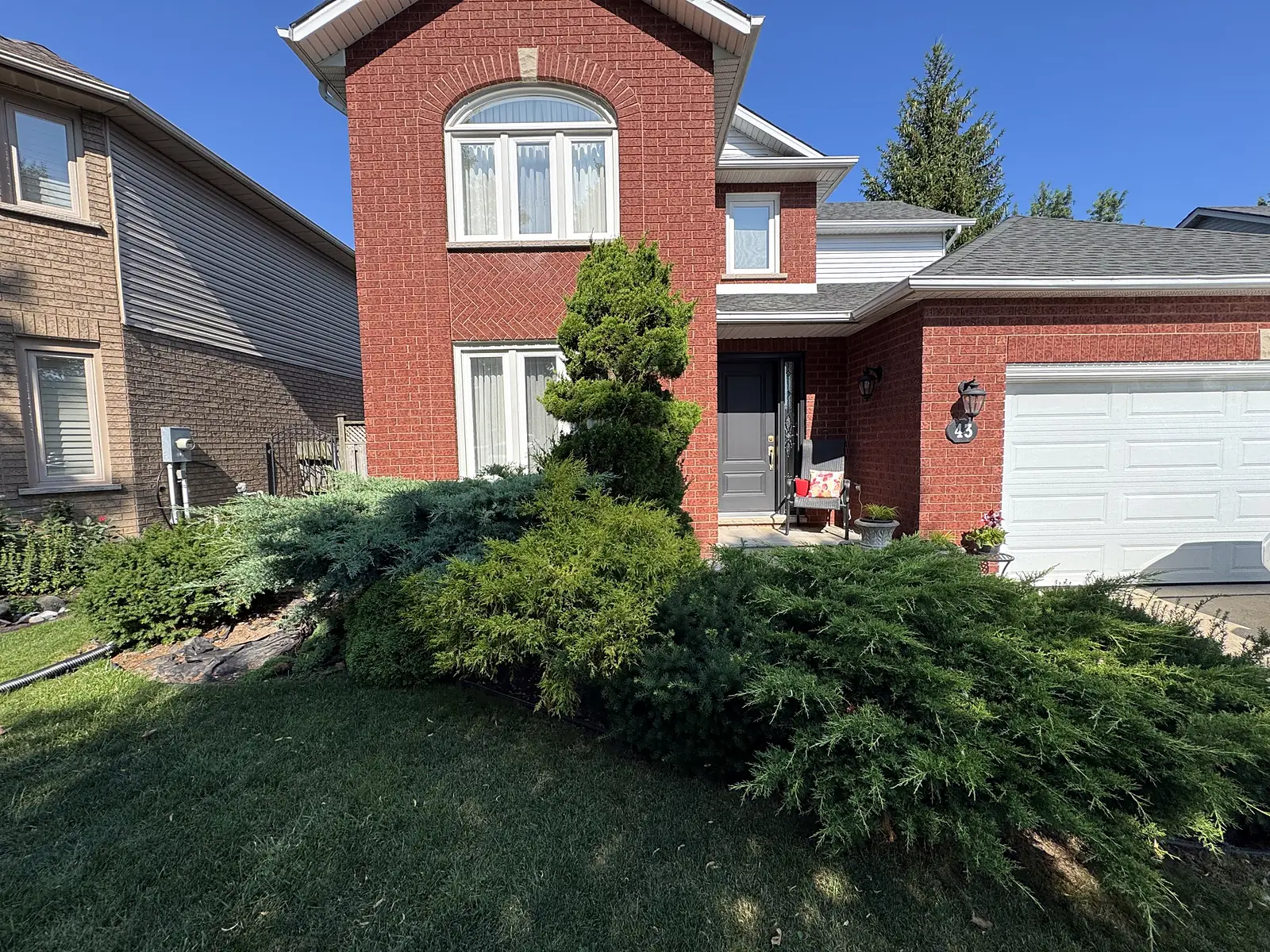 Front yard evergreen shrubs neatly shaped along the house