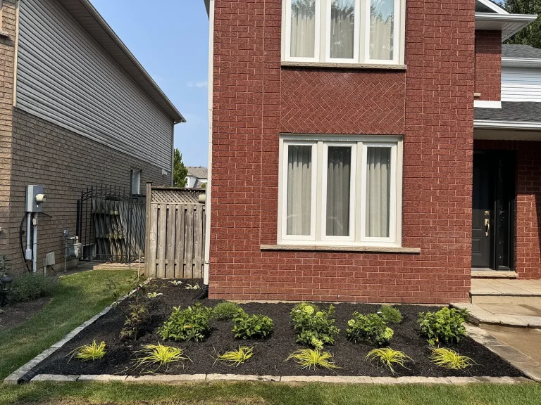 Lumen Landscaping | Home Landscaping New front garden bed of perennials and grasses in black mulch with stone edging