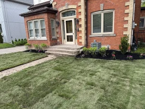 Lumen Landscaping | Gardening New sod front lawn with fresh garden beds along the house